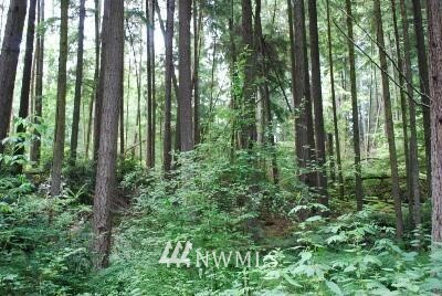 Property Photo:  0 Lot 6 Evergreen Lane  WA 98249 