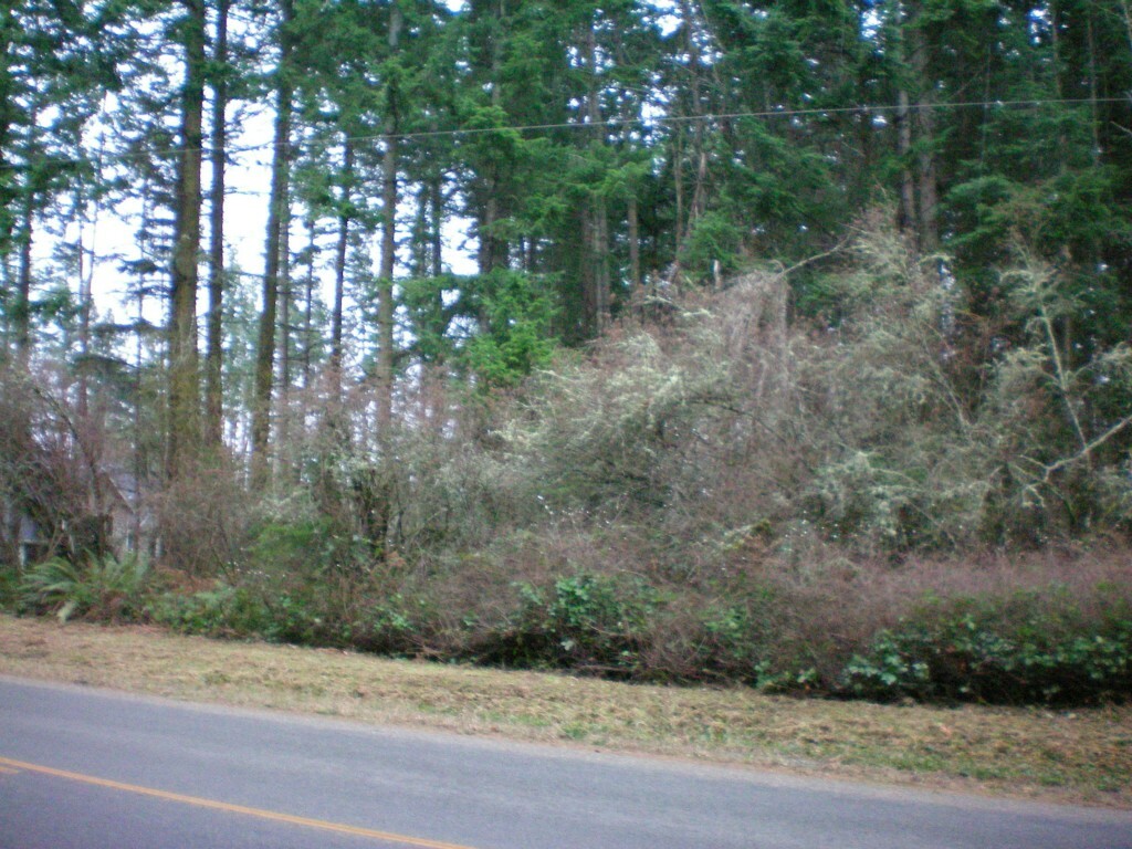 Property Photo:  999 E Dry Lake Rd  WA 98282 