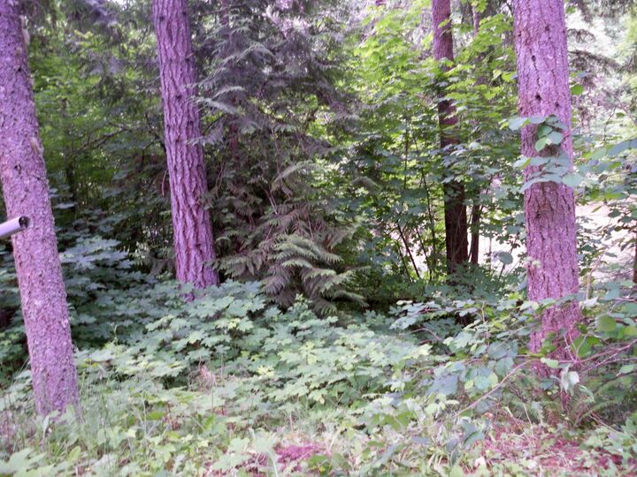 Property Photo:  17920 Pondside Ct SE  WA 98597 