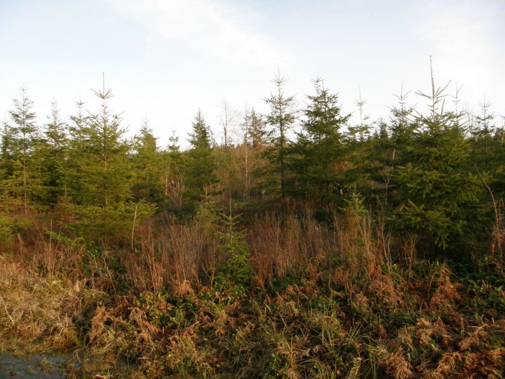 Property Photo:  0tract A1 Wynooche Valley Rd  WA 98563 