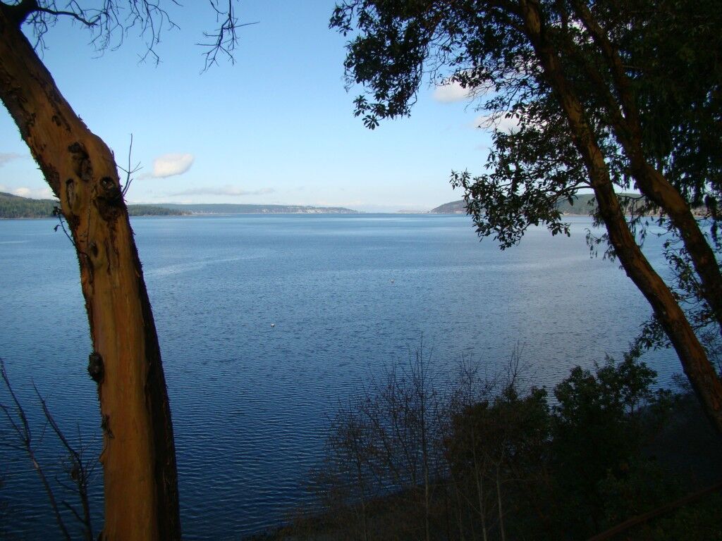 Property Photo:  4455 Highway 20  WA 98368 