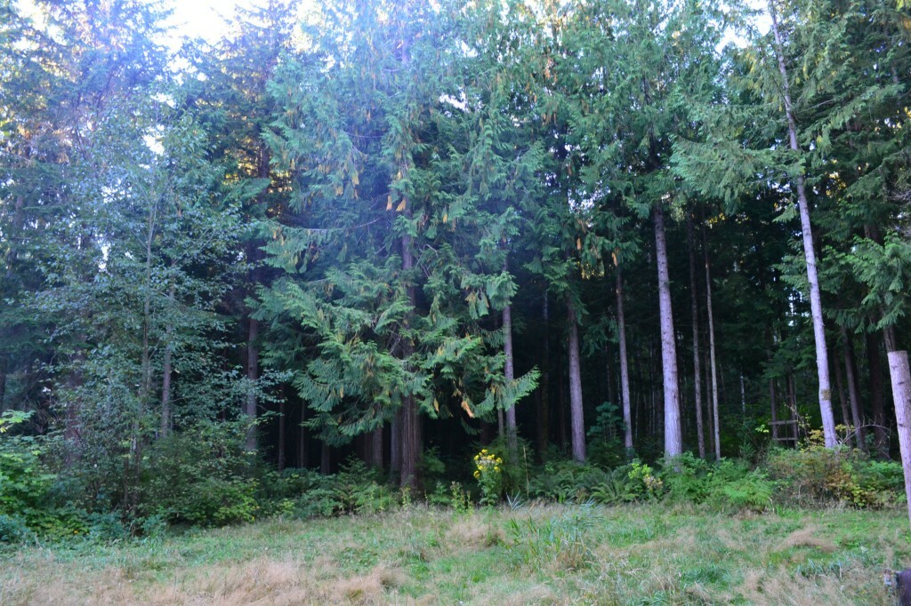 Property Photo:  180 Berry Hill Lane  WA 98368 
