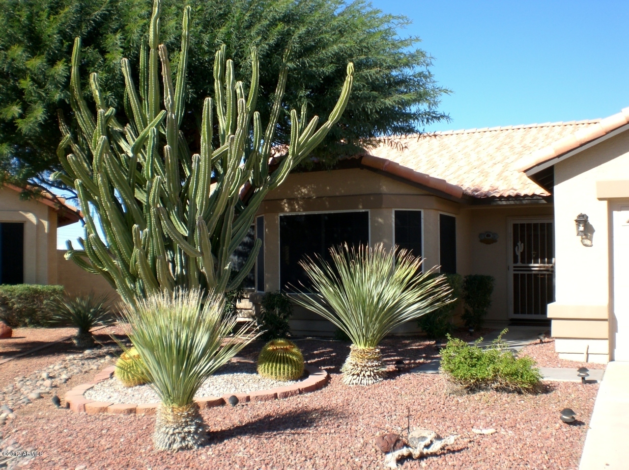 Property Photo:  20856 N 110th Drive  AZ 85373 