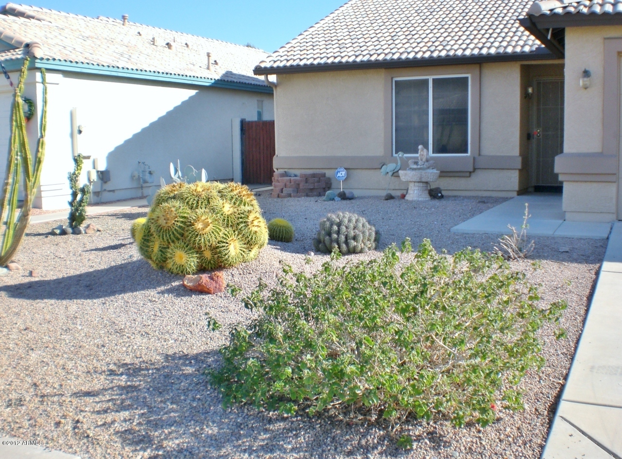 Property Photo:  20613 N 102nd Lane  AZ 85382 