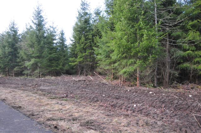 Property Photo:  19702 146th Ave SE  WA 98597 