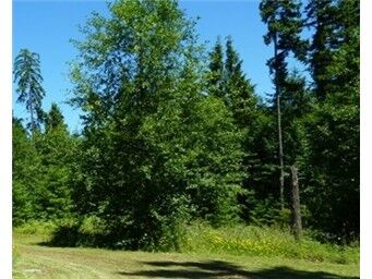 Property Photo:  10 Acres Hansville Rd NE  WA 98346 