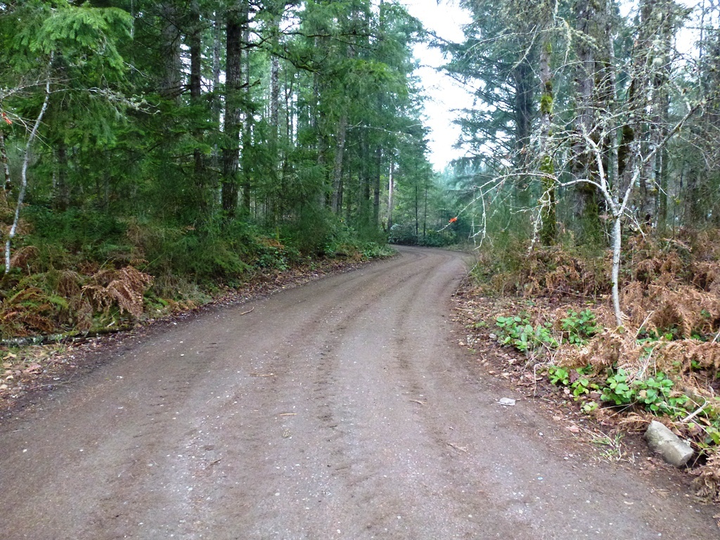 Property Photo: 9551 Hutchins Ave SE WA 98367
