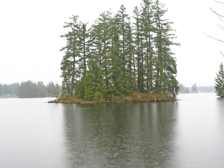 32437 234th Ave SE  Black Diamond WA 98010 photo