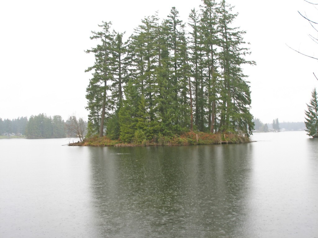 Property Photo:  32437 234th Ave SE  WA 98010 