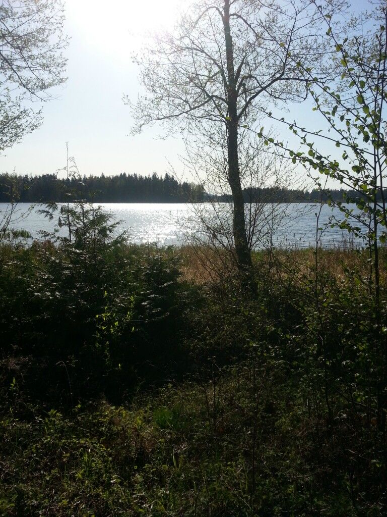 Property Photo:  18134 Lisa Lane SE  WA 98597 