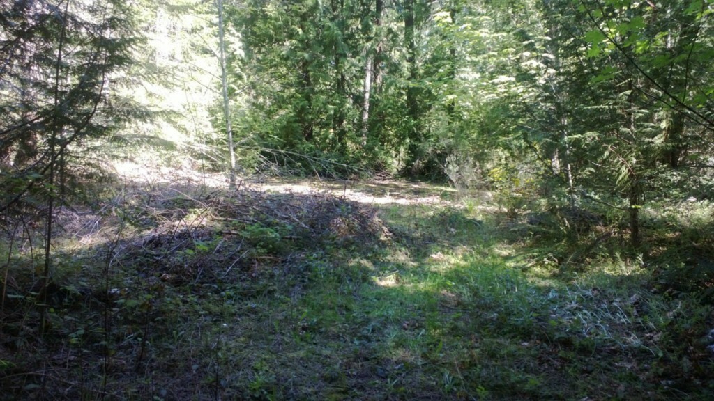 Property Photo:  680 E State Route 302  WA 98528 