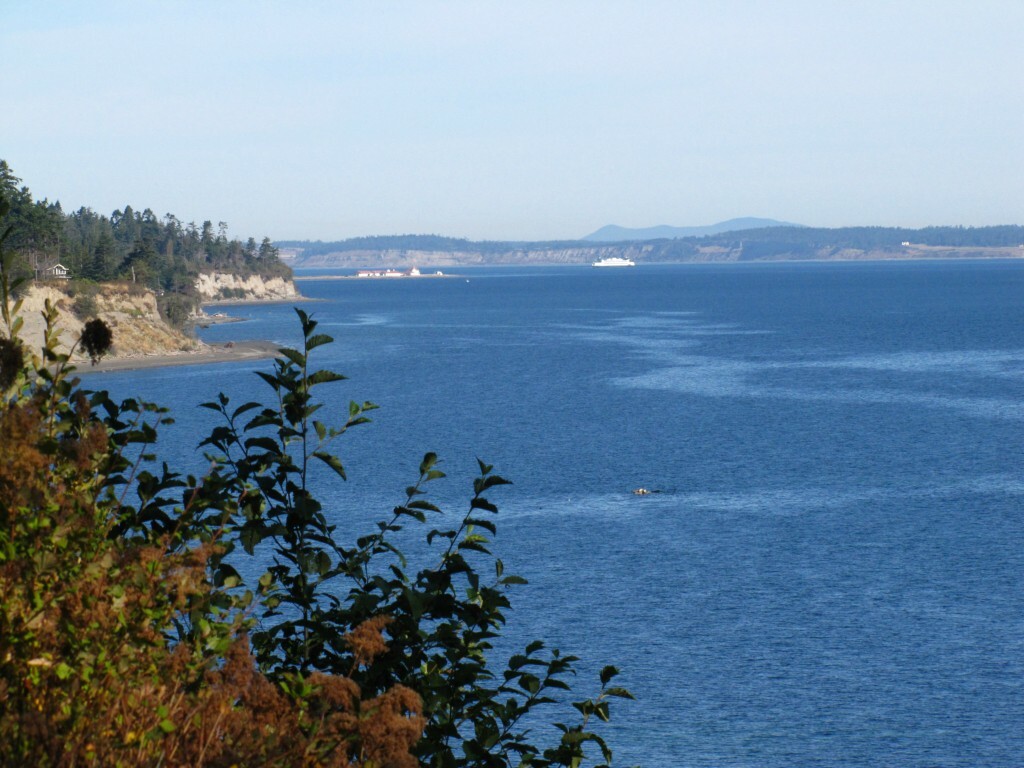 Property Photo: 99999 E Marrowstone WA 98358