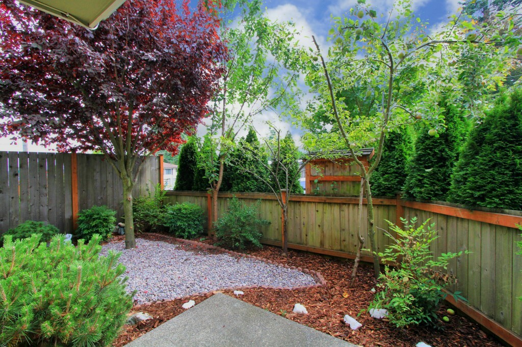 Property Photo:  908 NW 85th St  WA 98117 