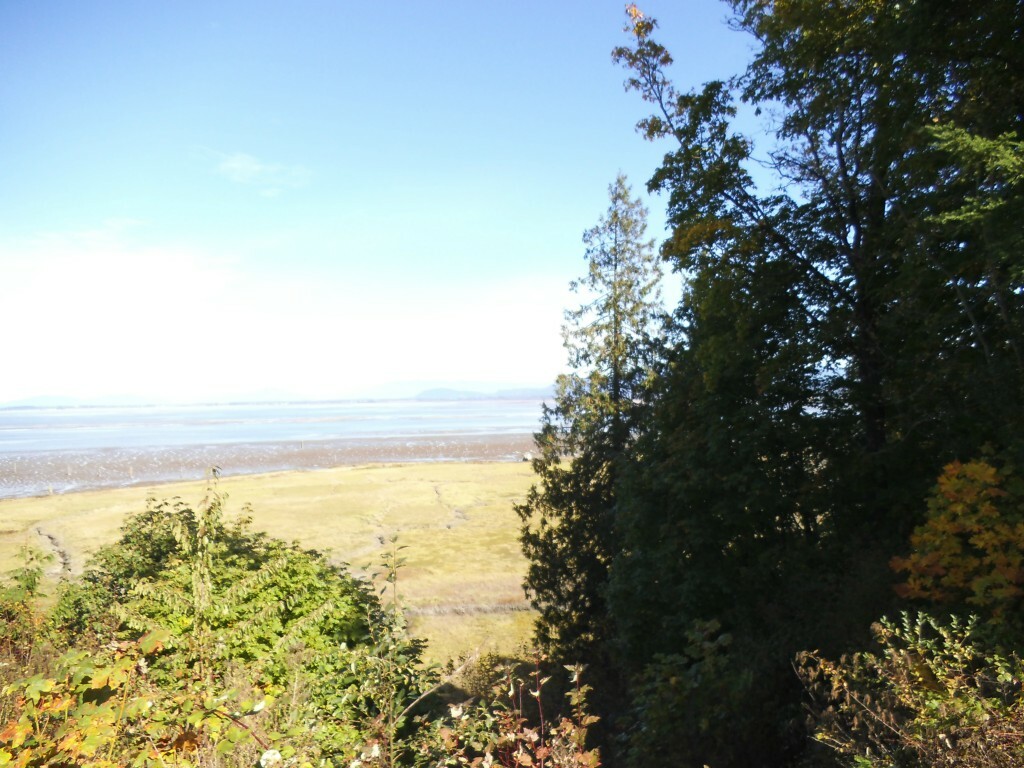 Property Photo:  1009 E Utsalady Rd  WA 98282 