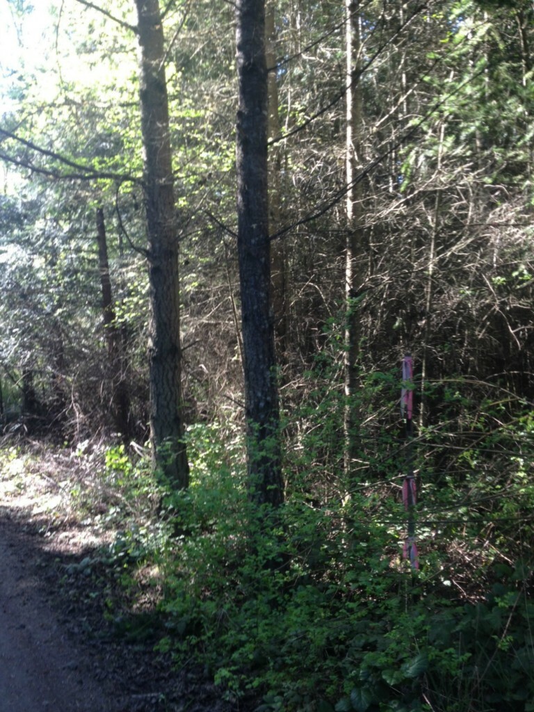 Property Photo:  0 Haada Laas Rd  WA 98368 