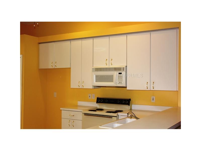 Property Photo: 450 Country Vineyard Drive FL 33594