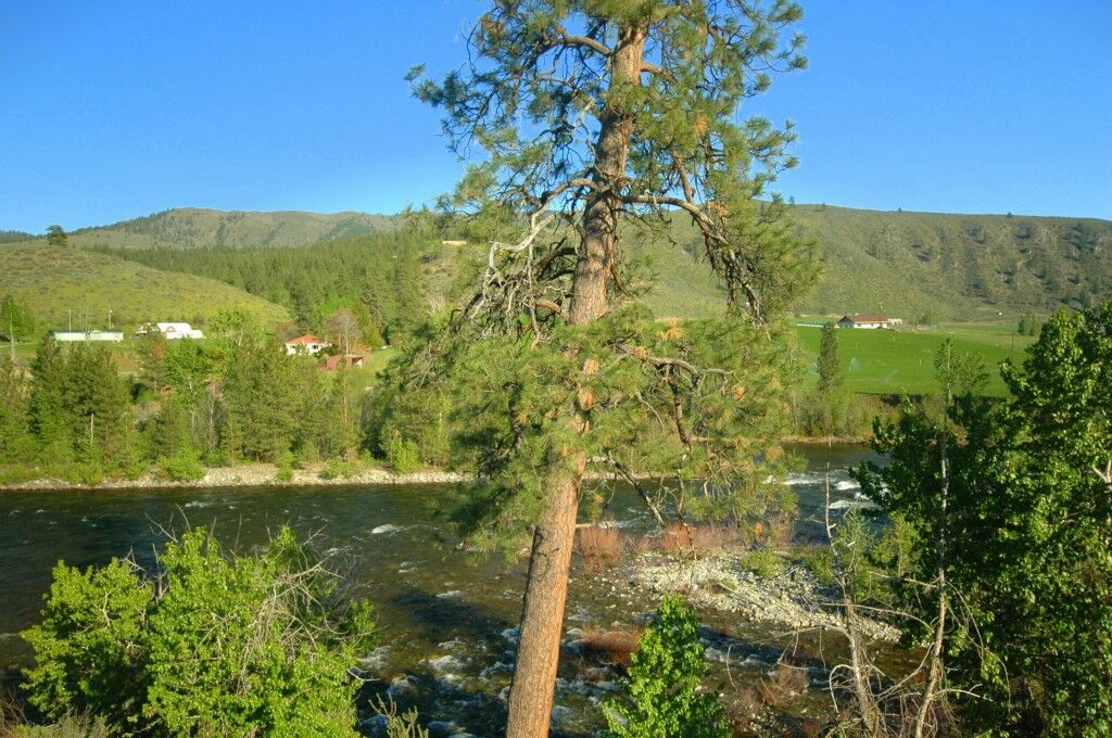 Property Photo:  2lot  Lazy L Lane  WA 98834 