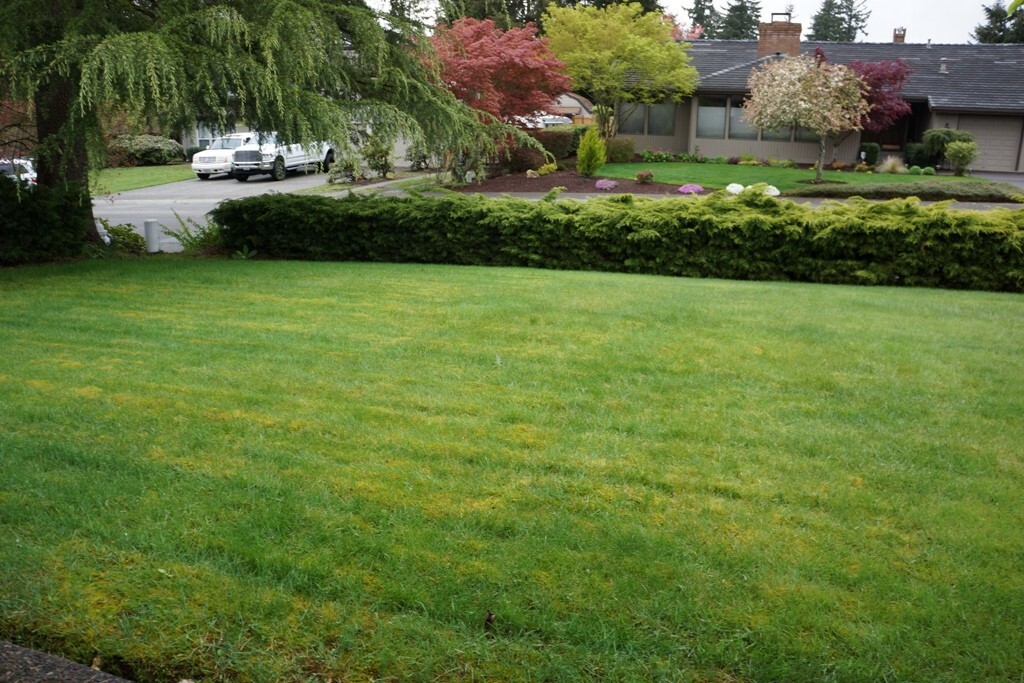 Property Photo:  26222 142nd Ave SE  WA 98042 