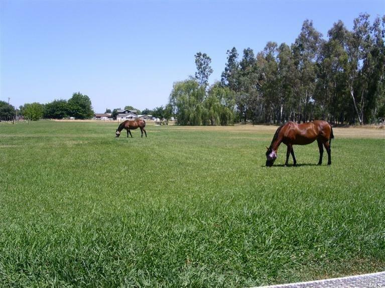Property Photo: 7380 Elizabeth Road CA 95688