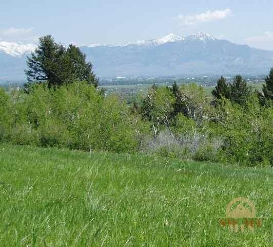 Property Photo:  111 Kundert Lane  MT 59718 