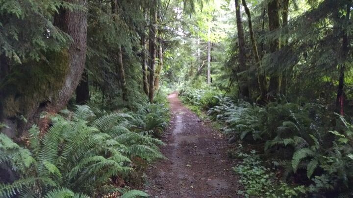 Property Photo: 4 Graystone Wy NW WA 98383