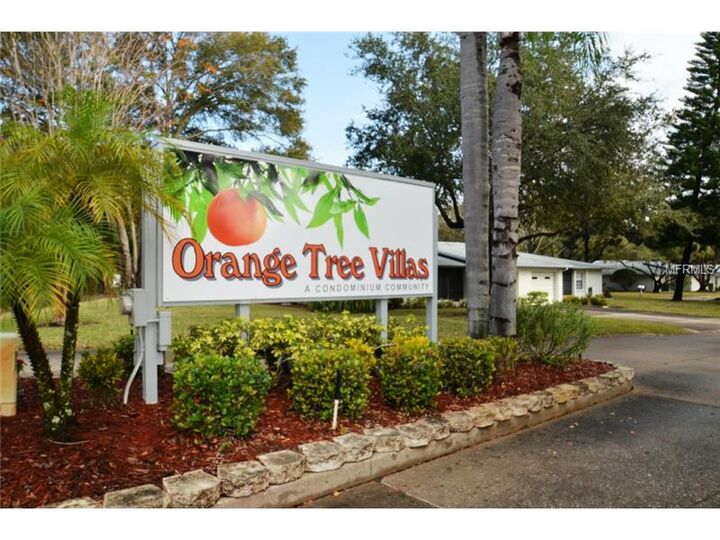 Property Photo:  1141 Orange Tree Circle W B  FL 34684 