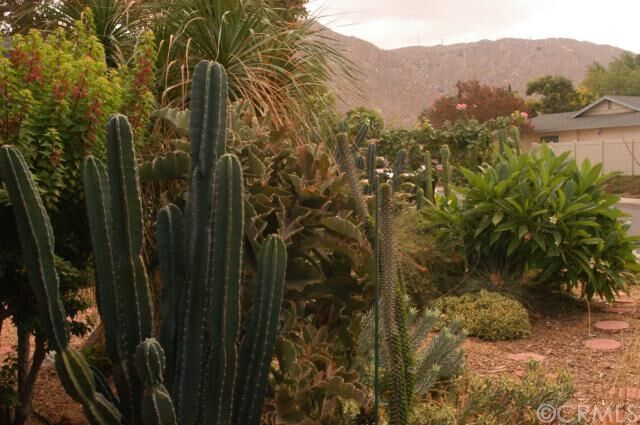 Property Photo:  325 Maravilla Drive  CA 92507 
