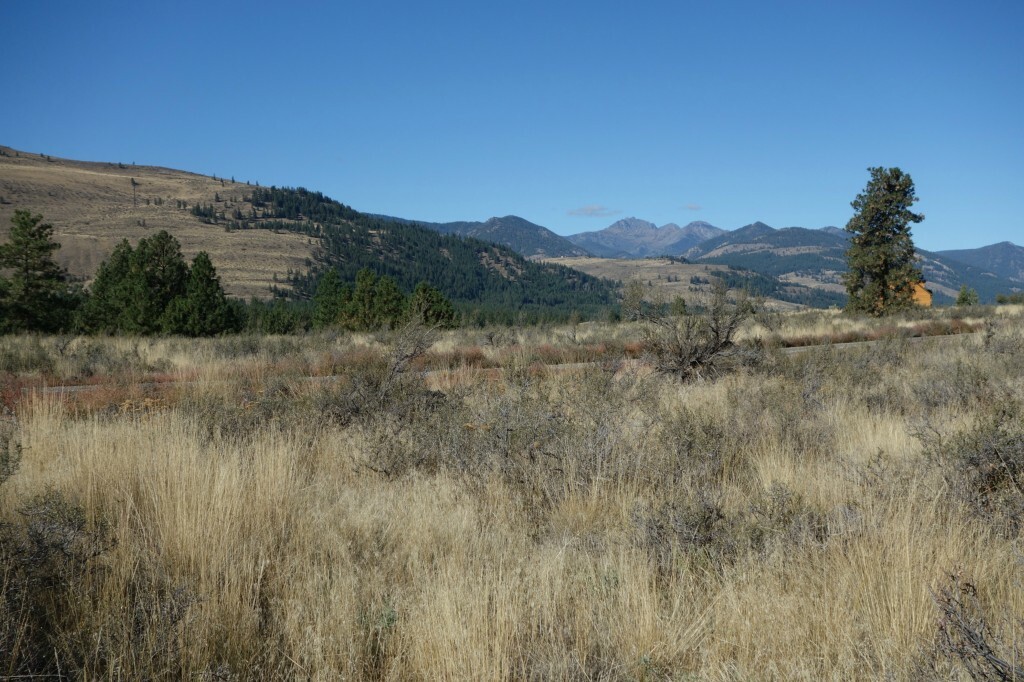 Property Photo:  0 Palomino Rd N  WA 98862 