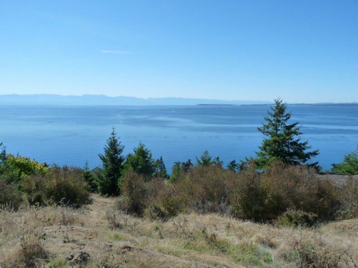 Property Photo: 240 Blackberry Lane WA 98250