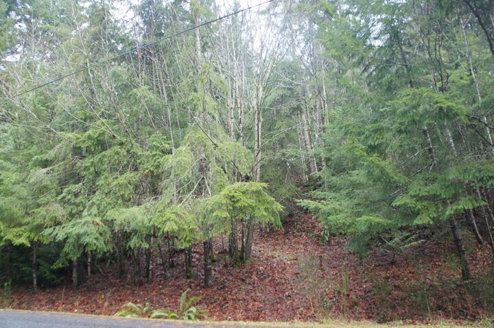 Property Photo: 0 L222/223 Arabian Drive WA 98320