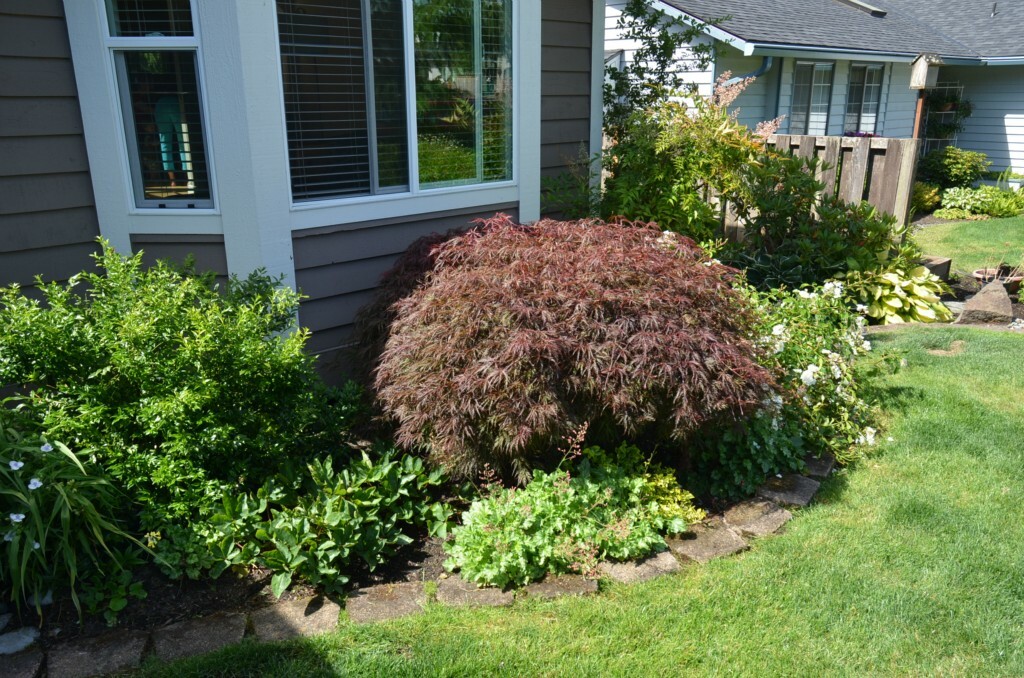 Property Photo: 1224 235th Place SW WA 98021