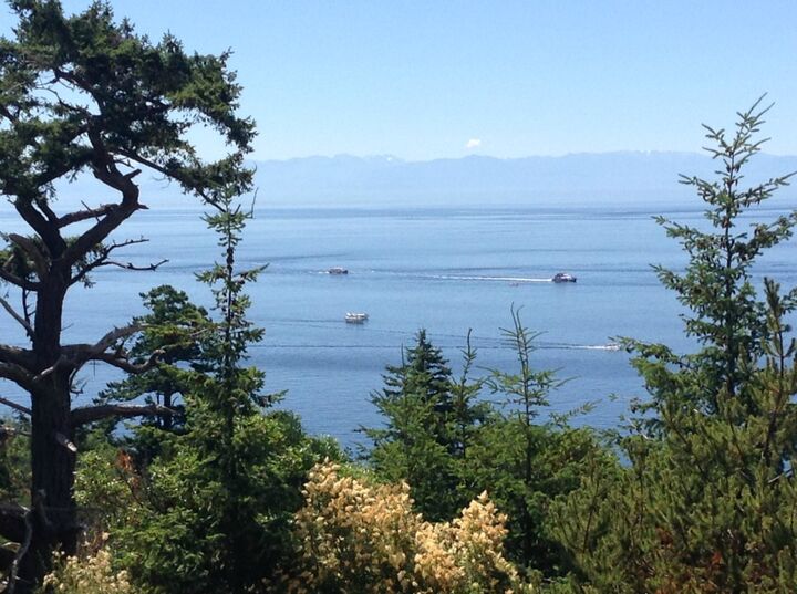 Property Photo: 240 Blackberry Lane WA 98250