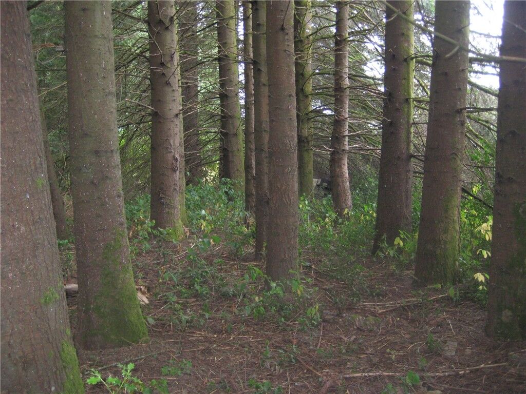 Property Photo: 22047 Old Highway 99 WA 98531