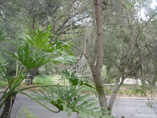 Property Photo: 4747 Oak Crest Road 25 CA 92028