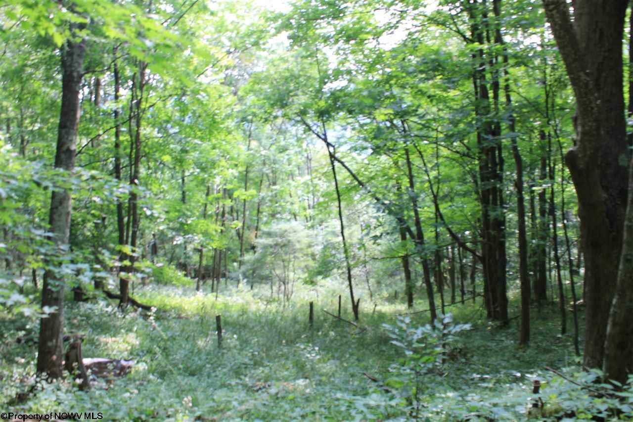 Lot 7 High Mountain Road High Mountain  Harman WV 26270 photo