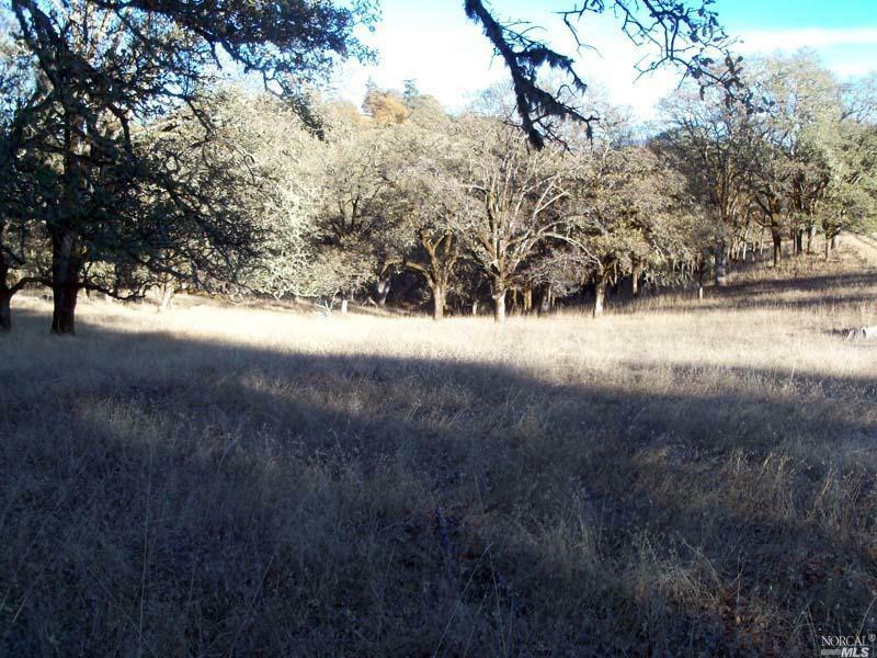 Property Photo:  0 Orr Springs Road  CA 95482 