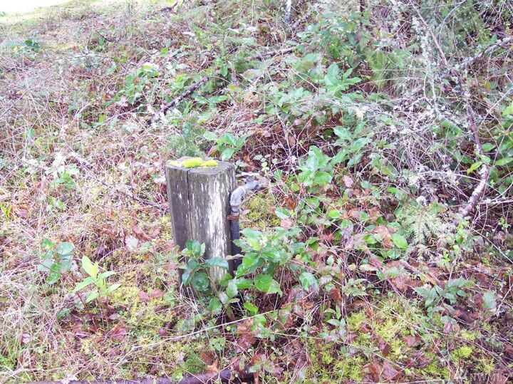 Property Photo:  14318 Vail Cut Off Rd SE  WA 98576 
