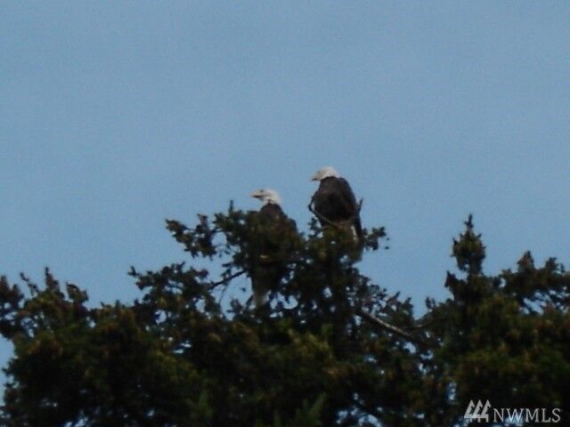 Property Photo: 7419 Hermosa Beach Rd WA 98271