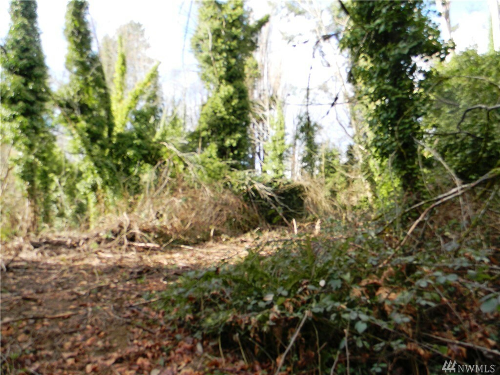 Property Photo:  0 Park Dr SE Lot 3  WA 98367 