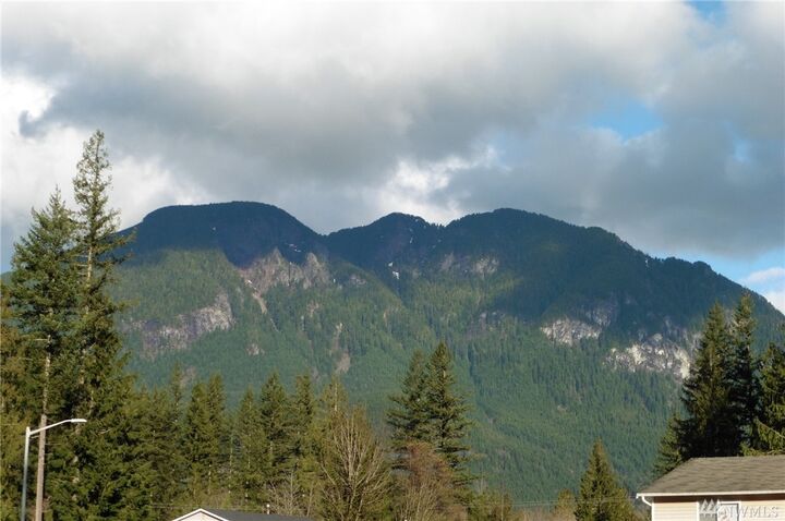 Property Photo: 334 Woodhaven Court Ct WA 98251