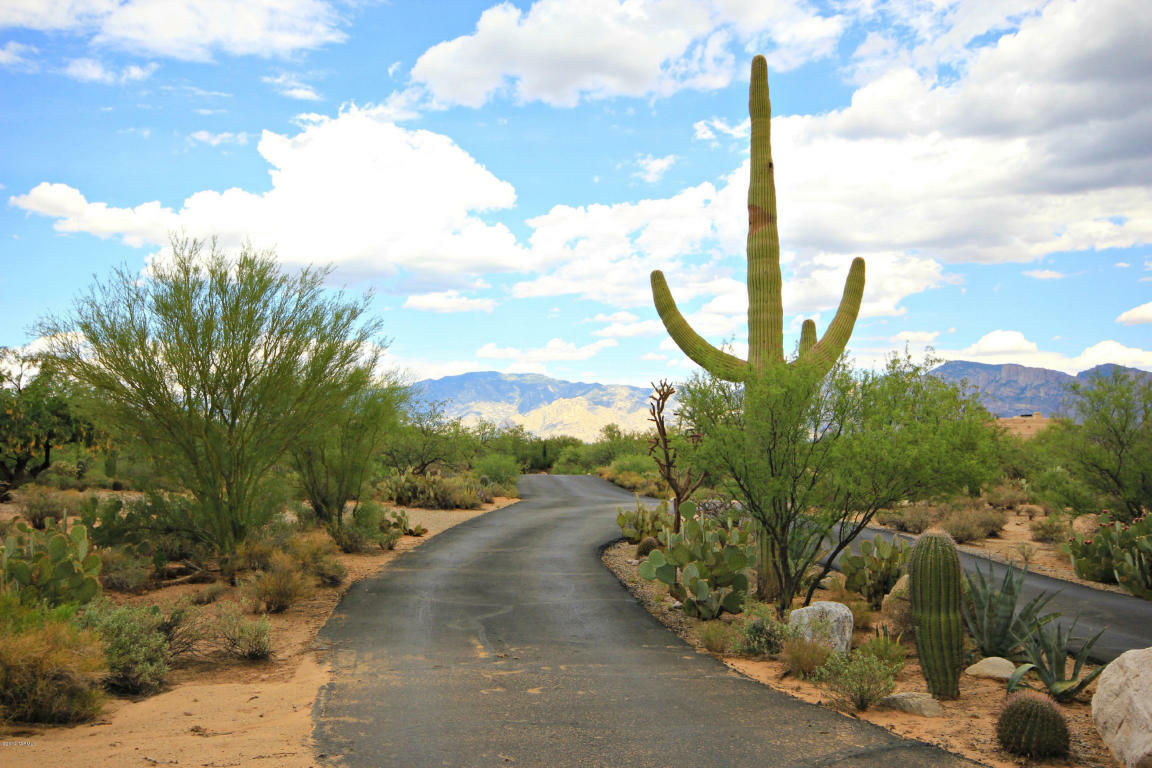 Property Photo:  2796 W Coyote Moonrise Drive  AZ 85755 