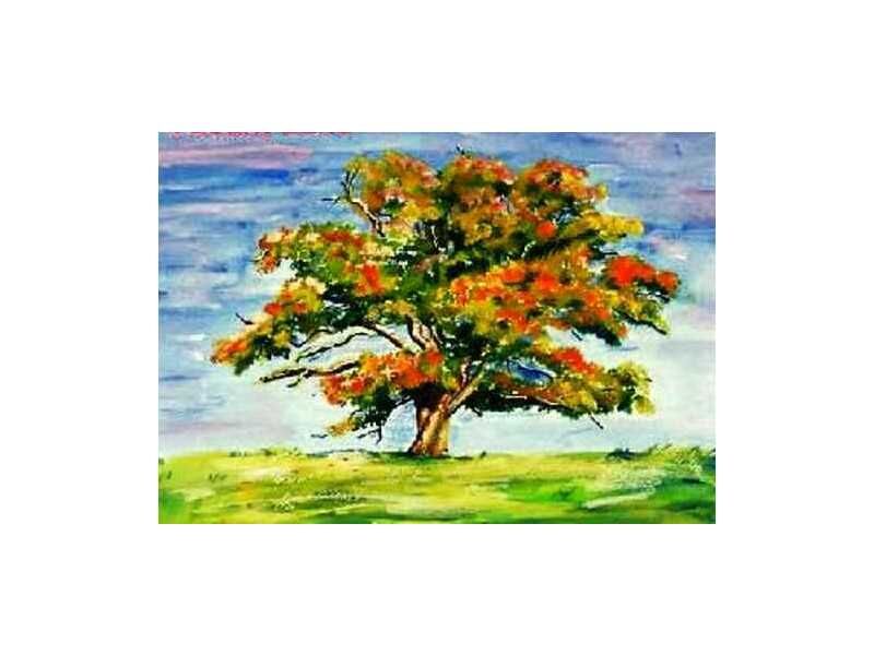 Property Photo:  4325 Maple Grove Drive  PA 16510 