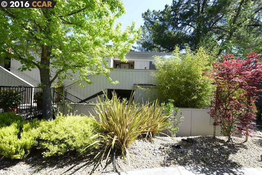 Property Photo:  1316 Running Springs Rd 4  CA 94595 