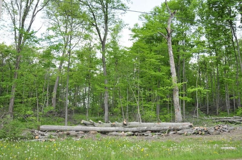 Property Photo:  0 Township Road 173  OH 43315 