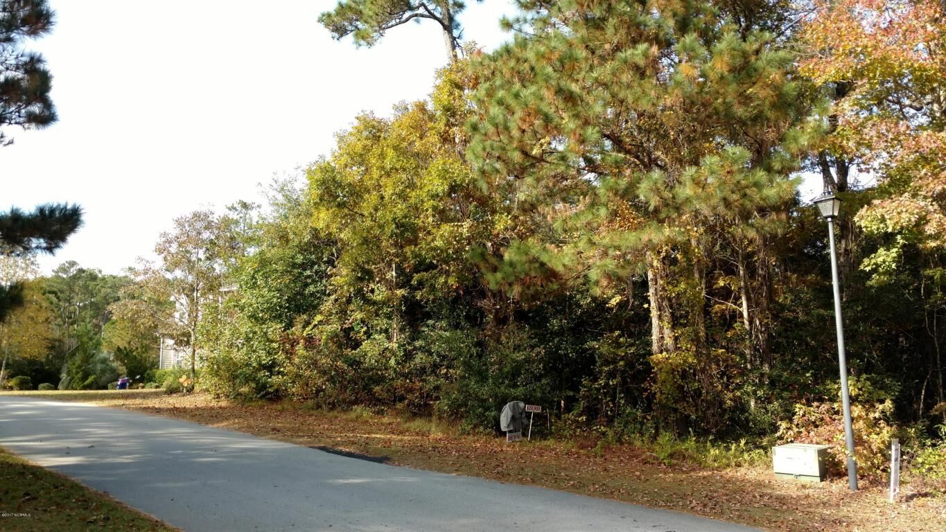 Property Photo: 408 Celtic Ash Street NC 28460