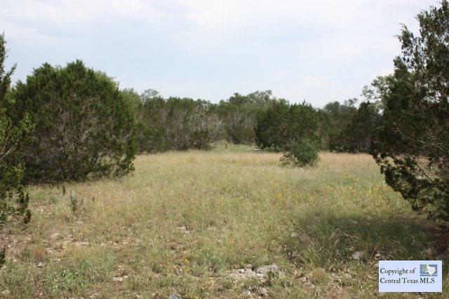 Property Photo:  208 Lets Roll Drive  TX 78623 