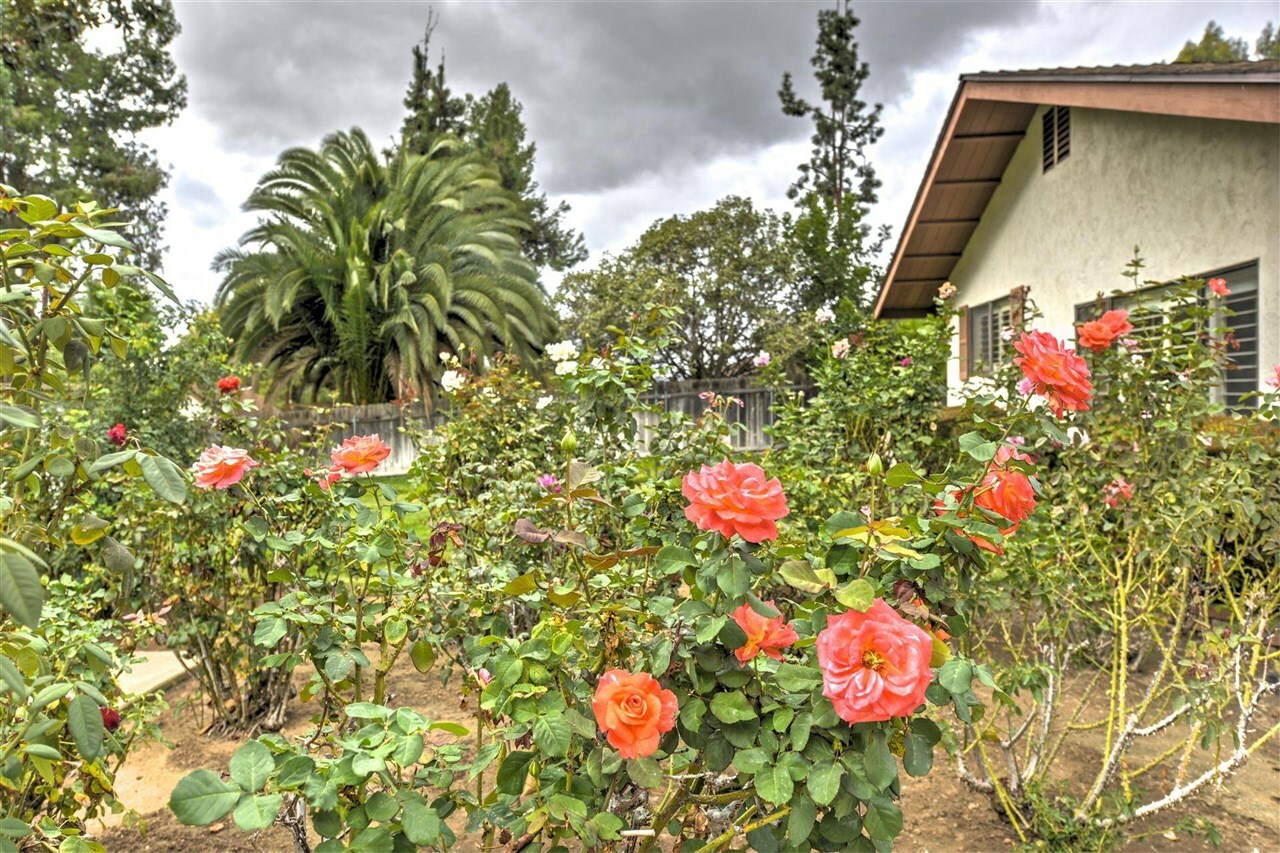 Property Photo: 1144 E Chase Ave CA 92020