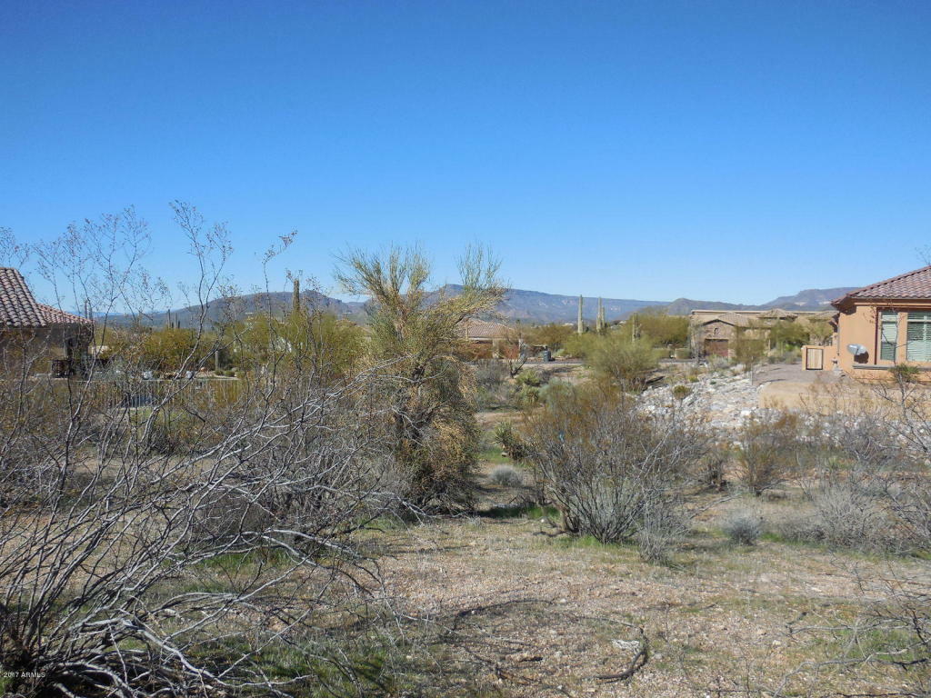 Property Photo:  37243 N Greythorn Circle N  AZ 85377 