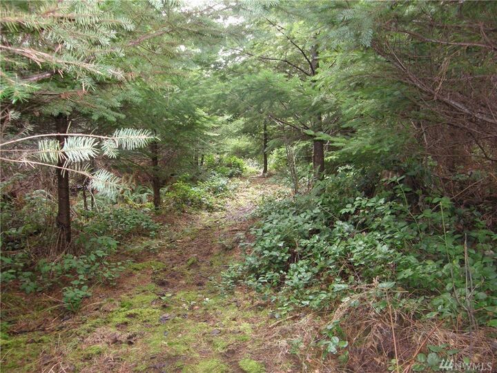 Property Photo:  15 Arrowhead Lane  WA 98541 