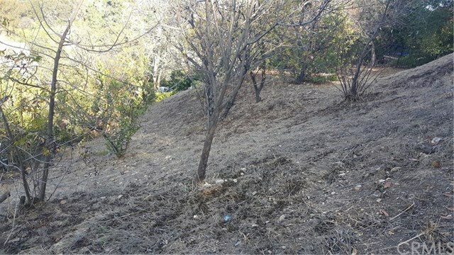Property Photo: 0 Oneonta Drive CA 90065
